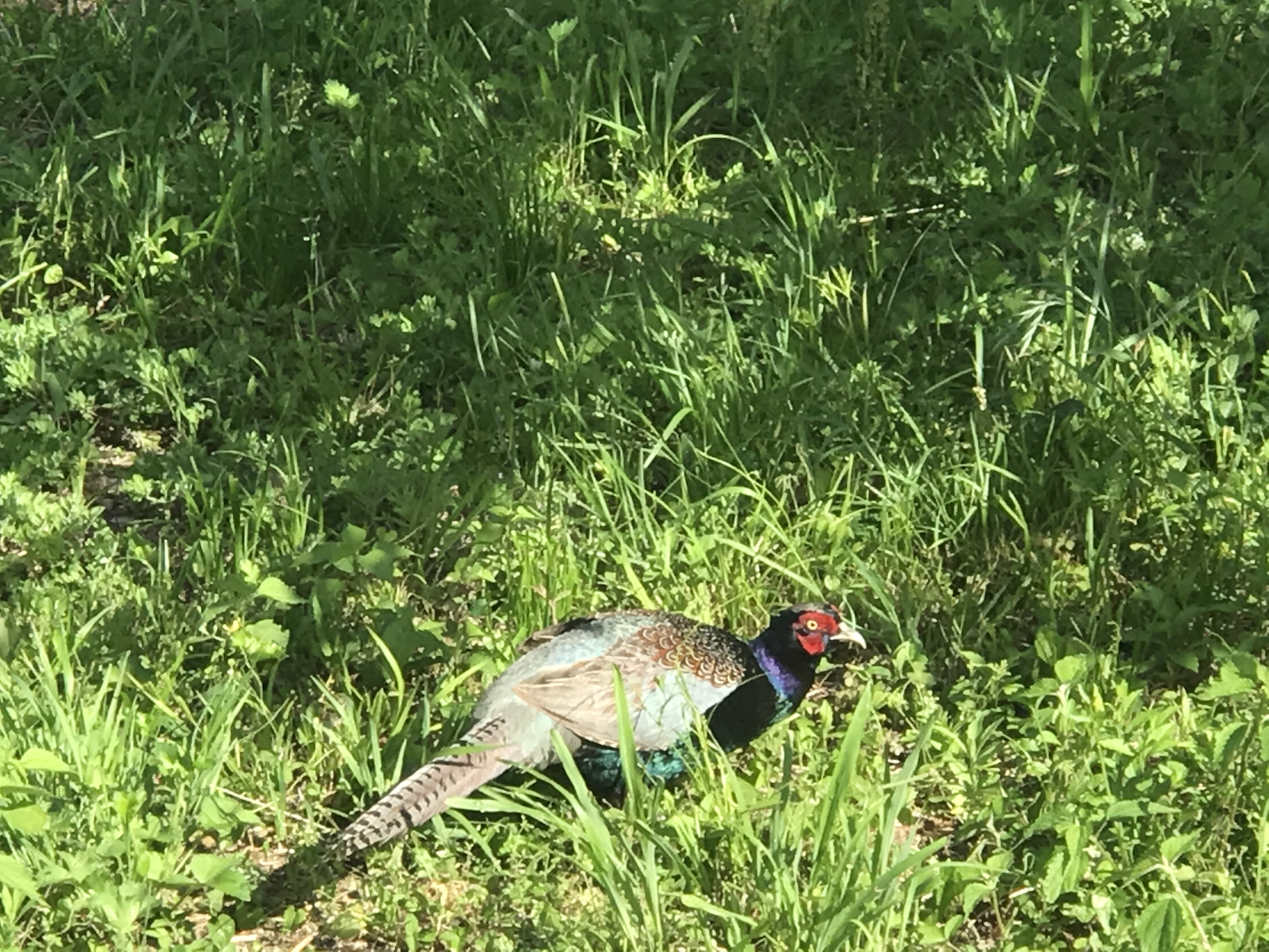 14E6A9F8-6DF9-4D6D-8E37-7693905D56B2