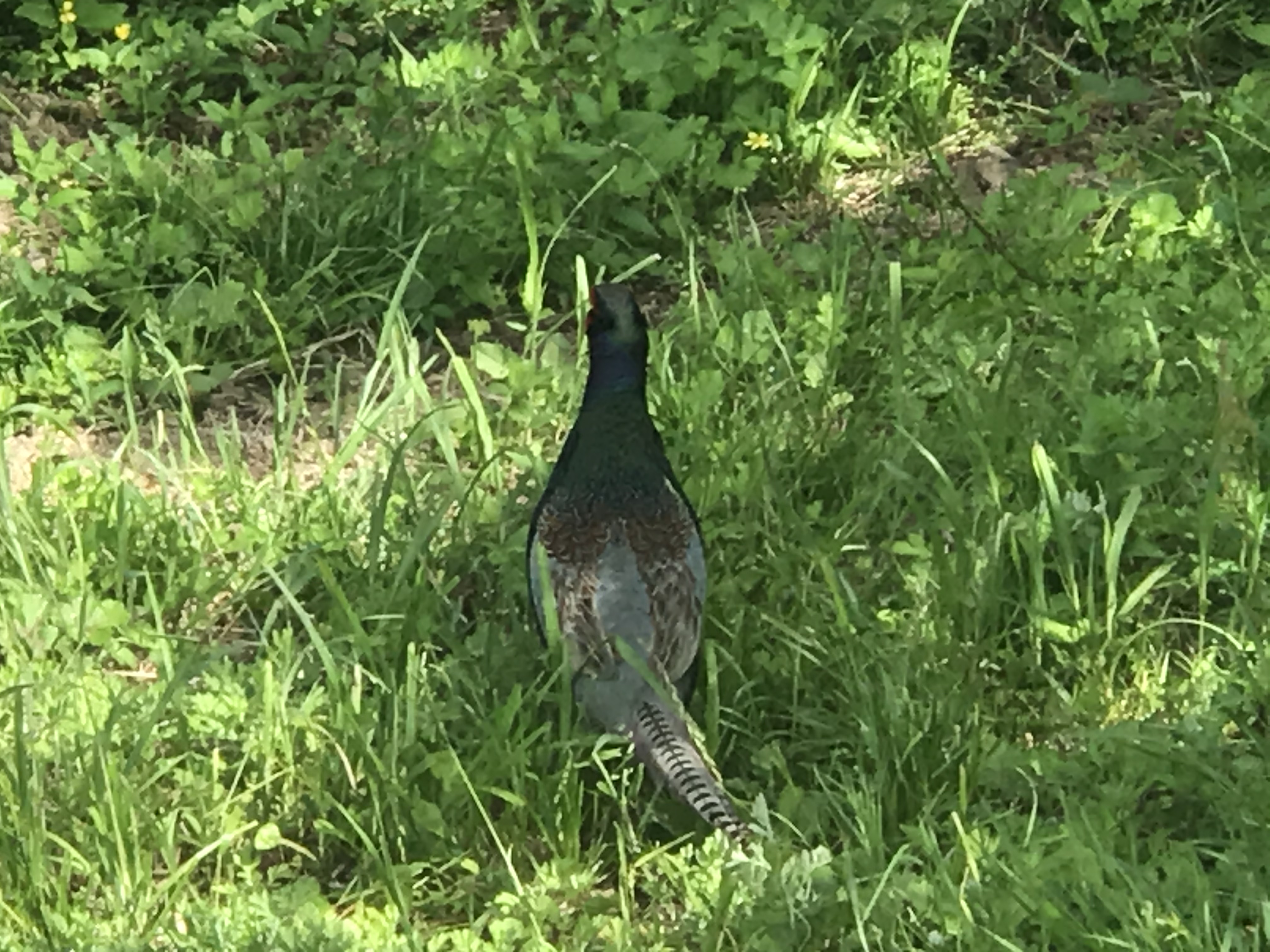 5388E708-76B0-4FC5-8E7E-5D0A06E99B24