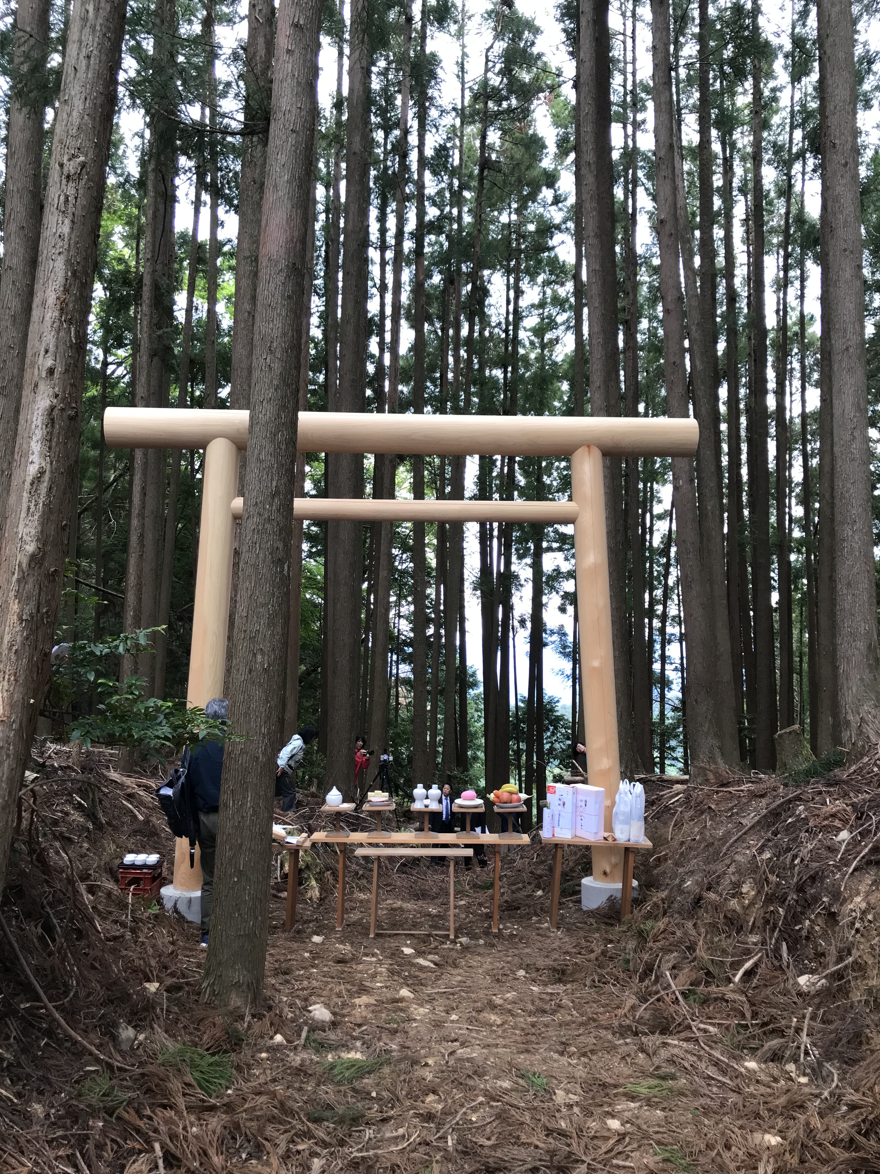 image_7b7f3de4-81eb-4605-945e-69ec149539b5.img_9006